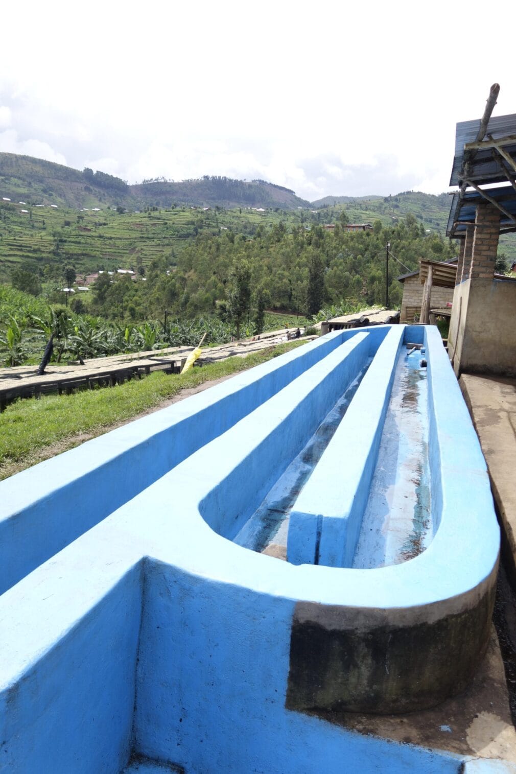 Rwanda - Gitesi 2 - Image 3