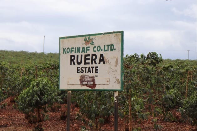 Keňa - Ruera - Obrázek 3